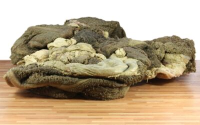 ganzer Pansen grün ca. 10 kg 16,00 €